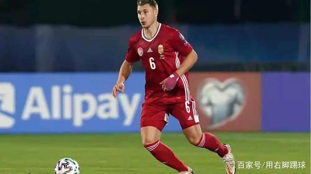 欧洲杯多少支球队，欧洲杯多少支球队出线（目前仅剩比利时、意大利还在征战本届欧洲杯）