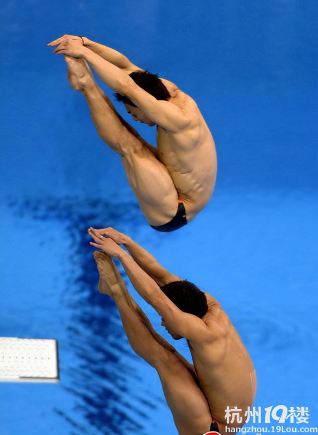 跳水动作姿势分几种，跳水动作姿势分几种图片（跳水运动中的一些基本知识）