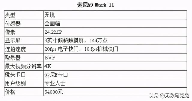 全画幅相机推荐，全画幅单反相机排行（2021年最佳全画幅相机）