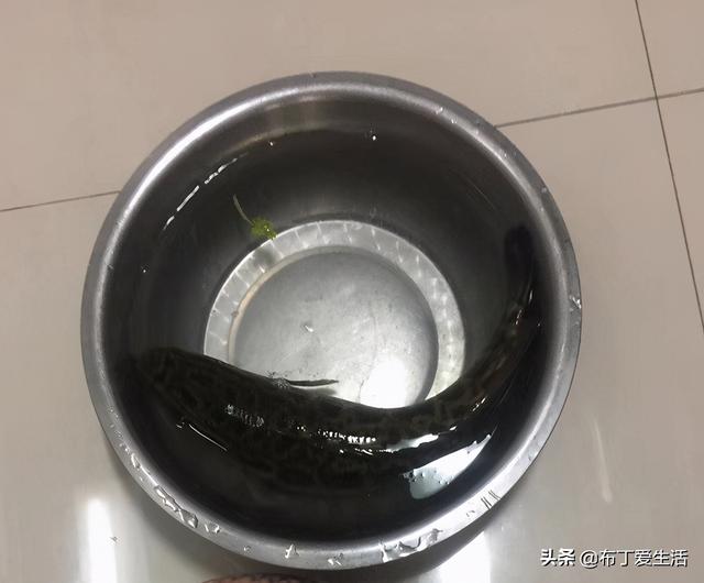 水煮鱼怎么切片，水煮鱼怎么做鱼片才嫩（教您\