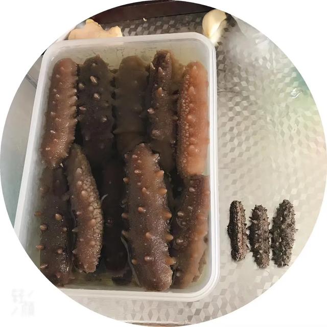 海参干如何发（干海参泡发教程）