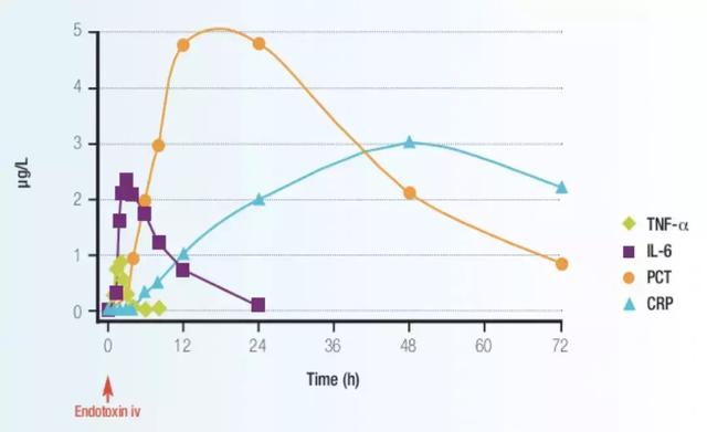 路亚pe线用几号最合适，路亚用几号pe线合适（降钙素原检测如何指导临床决策、预估甚至降低死亡风险）