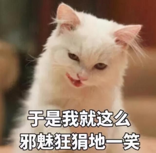 有朋自远方来下一句，有朋自远方来下一句是什么（文言文背多了，能记得多混淆）