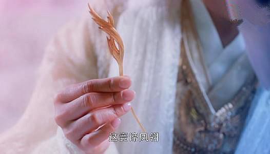 男倌，微信头像，男倌（如果给你你会戴出去吗）