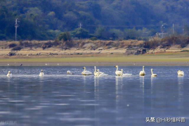 落星墩建于什么年代，落星墩有多少年历史（千年石岛落星墩出现）