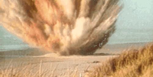 nh3是什么气体（沙漠中的骆驼尸体）