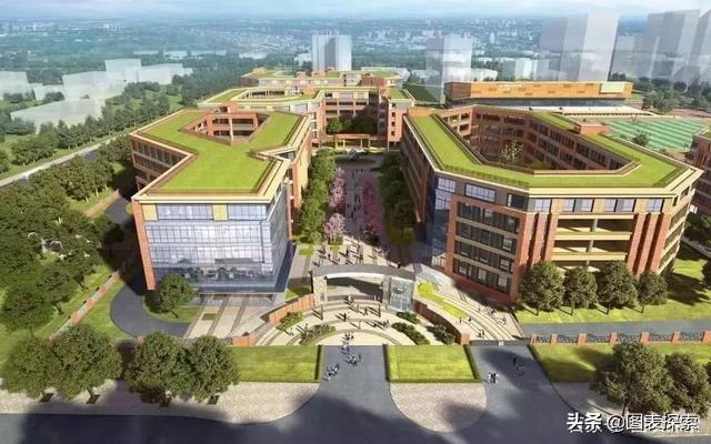 洛阳华洋国际学校，洛阳华洋国际学校怎么样（河南洛阳5所民办学校更名引热议）