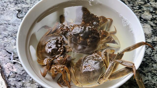 螃蟹怎么做好吃，冷冻螃蟹怎么做好吃（螃蟹的家常做法）