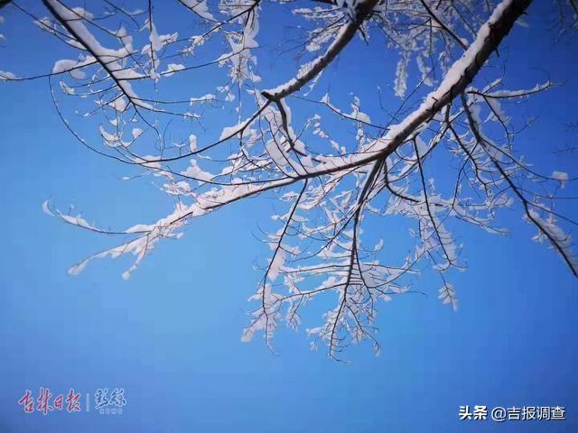 白雪却嫌春色晚，白雪却嫌春色晚下一句是什么（白雪却嫌春色晚,下一句是什么）