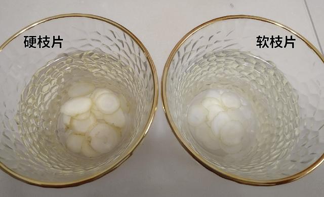 花旗参与西洋参的区别，花旗参与西洋参的区别有哪些呢（它的内幕：软枝与硬枝哪个好）