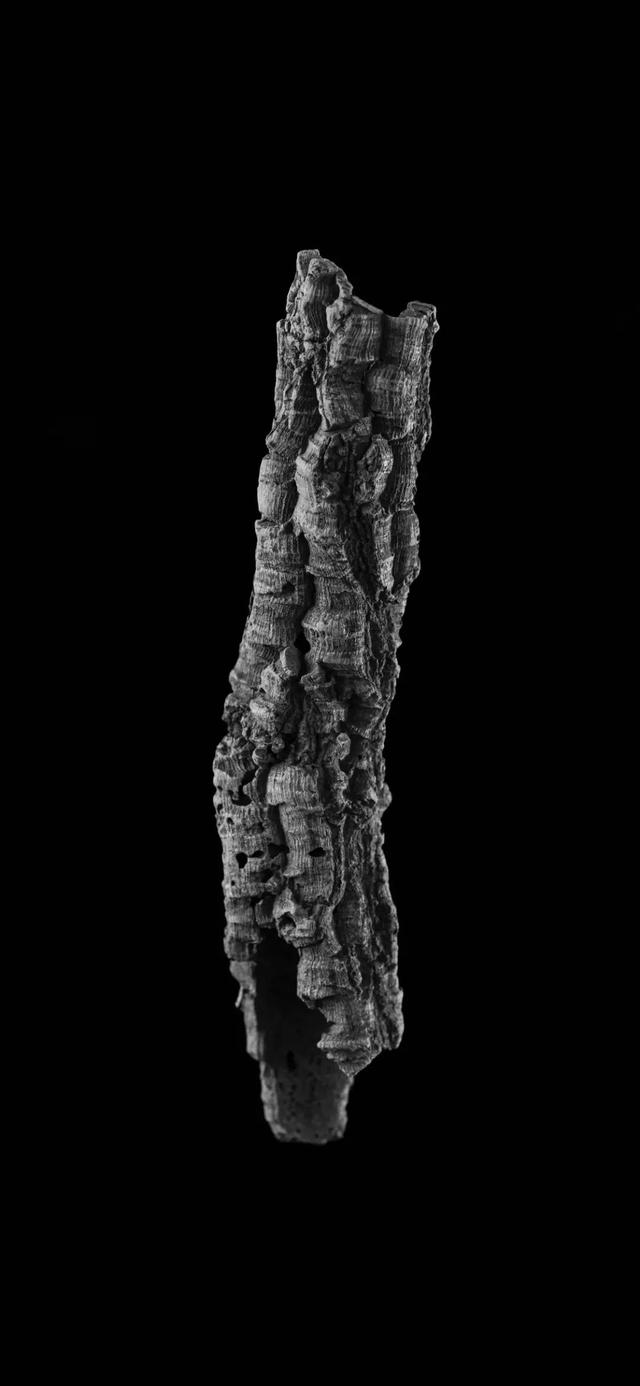 黑暗系列，微信头像，黑暗系列（微信 ， 暗黑系手机图片壁纸）