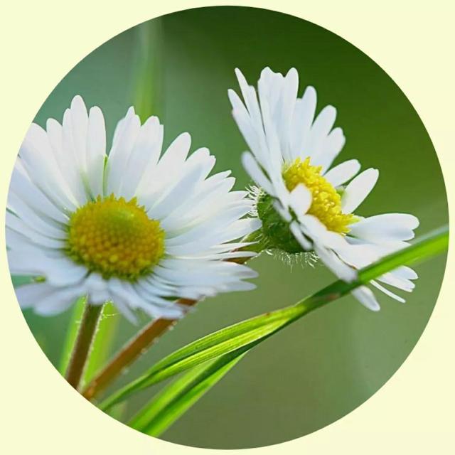 风景照片图片大全，微信头像，风景照片图片大全（令人心旷神怡的美景）