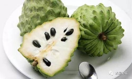 榴莲成熟的季节是几月，榴莲季节是哪几个月（夏季到冬季的水果成熟表来了）