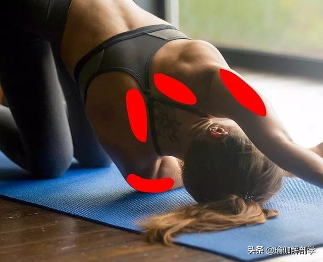 三角肌拉伸方法，三角肌的锻炼方法和拉伸方法（“肩颈疼痛”这样练就对了）