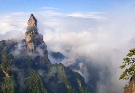 我国最大的佛像是，我国最大的佛像是哪一座（我国发现世界最大的天然佛像）