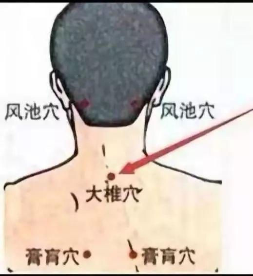 房间熏艾草的危害，艾草灰的八大功效与作用（艾烟熏室到底能不能抵抗瘟疫）