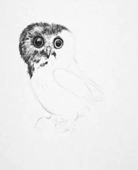 学画画零基础先学什么，零基础素描应该先练什么（零基础绘画教程，值得收藏）