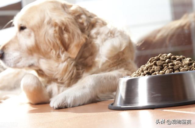 女生叫男生修勾是什么意思，修勾勾是啥（修勾是什么狗）