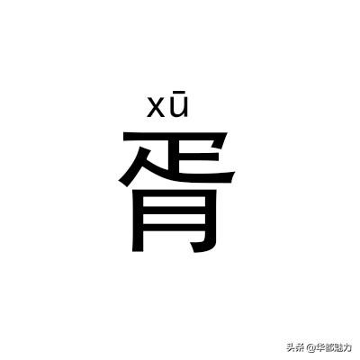 ?怎么读什么意思，仵怎么读姓氏（看完后可不能再读错了）