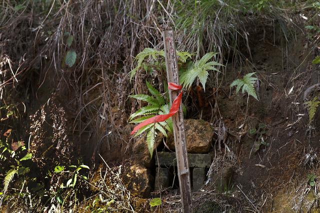 坟茔读音，坟茔读音怎么读（追寻1343座无名红军墓背后的故事）