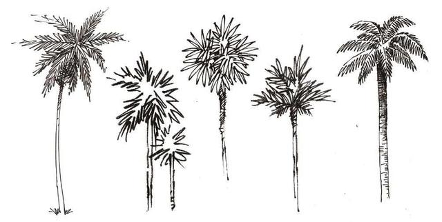 超简单风景速写入门初学者，适合初学者学习的速写中植物配景的画法图解教程