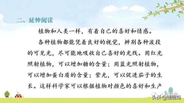 芬芳迷人的意思，芬芳迷人是什么意思解释一下（三年级下册语文第13课《花钟》图文详解及同步练习）