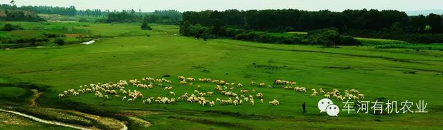大同灵丘十大景点，灵丘——山水特色城镇