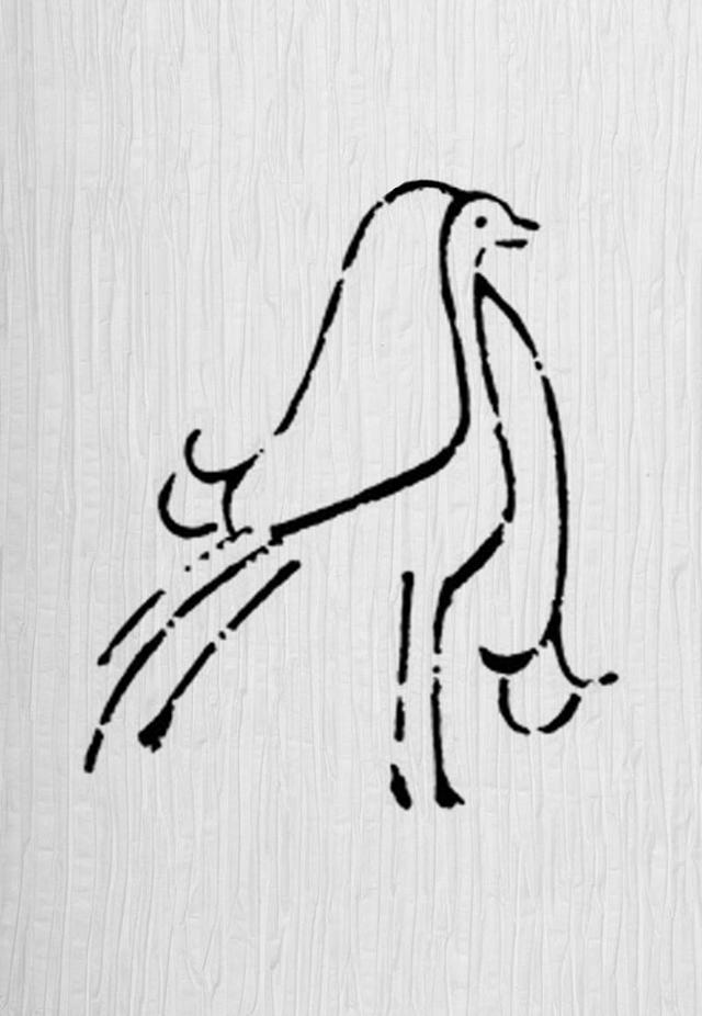 孔雀简单介绍和特点是什么，孔雀的特点有哪些（吉祥物、前程似锦、高尚和雅典）