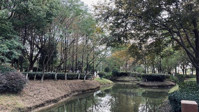 陽澄湖在什麼地方哪個省的,偶遇蘇州澄湖旁的小村莊(陽澄湖哪個省哪個