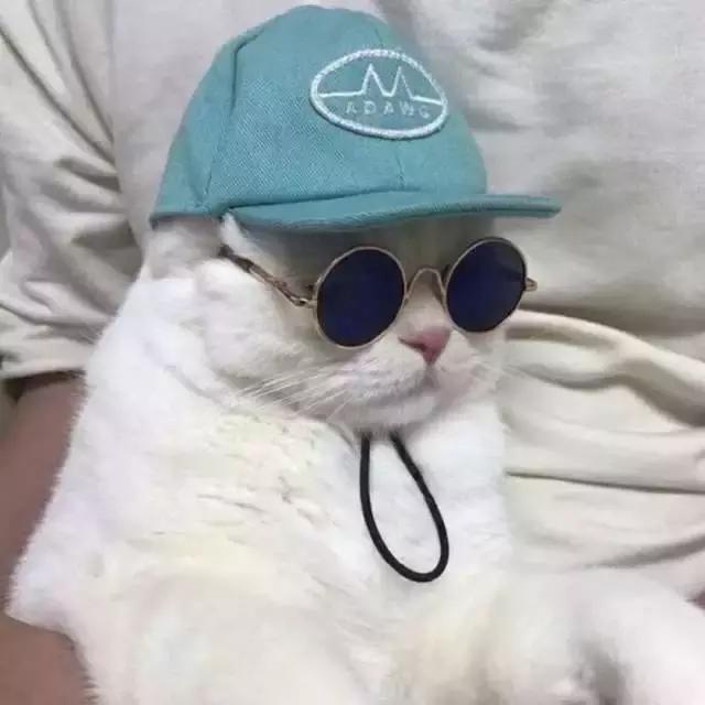 经典搞笑整蛊头像微信，经典搞笑整蛊头像（精选头像丨恶搞系列头像）