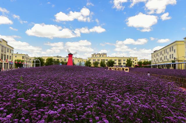 神川网名，神川微信昵称（在乡愁中打造都市的梦幻）