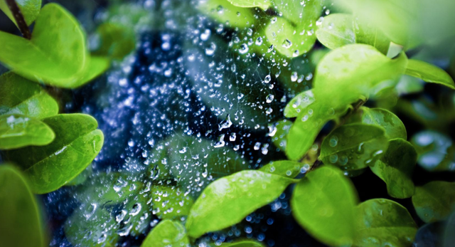 含雨的诗句，含雨的诗句连续两句（诗词鉴赏-十三首夏雨诗词）