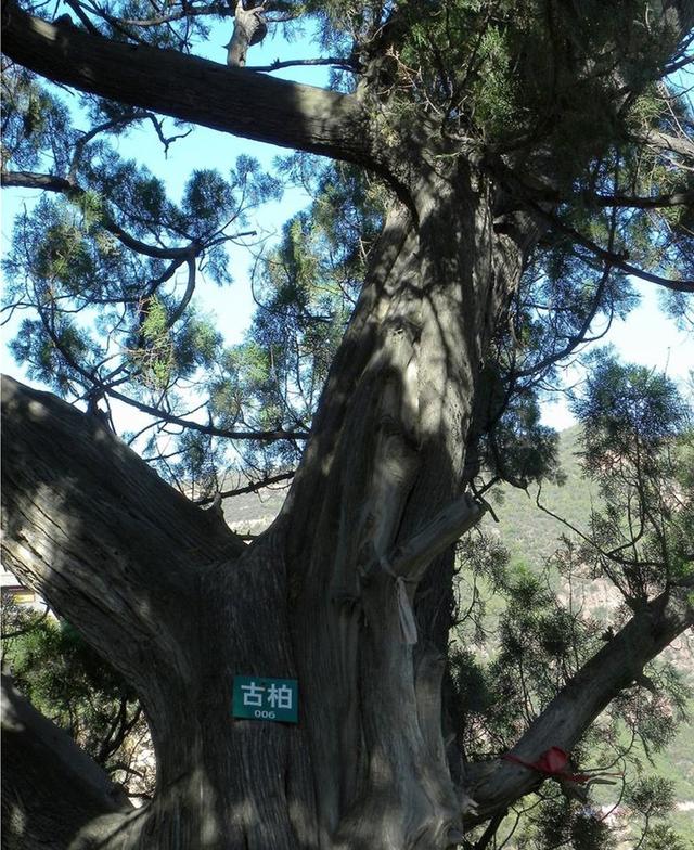 僧、尼、道共居一山修行  承德丰宁白云古洞景区，僧、尼、道共居一山修行（有一桥飞架两山之间的千年古刹）