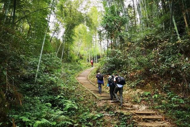 黄山土特产，黄山土特产有哪些（安徽黄山下藏2个好地方）