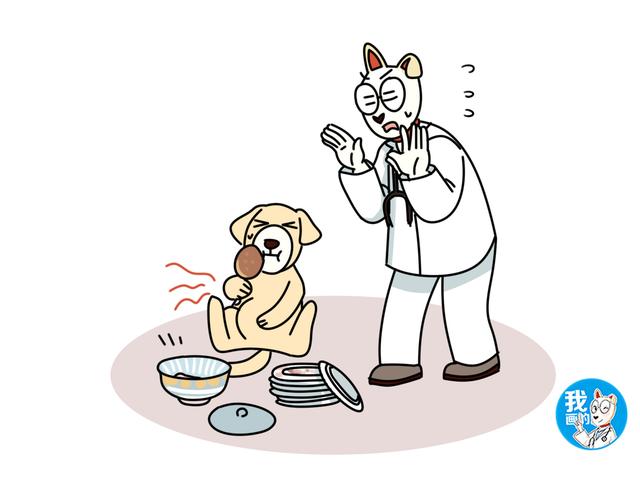 犬细小病毒的症状，犬细小病毒病症状有哪些（铲屎官应及时带狗狗就医）