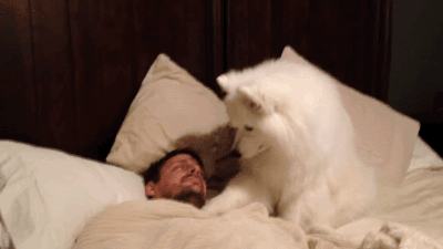 什么被子最保暖，什么被子最暖和（这款羽绒被一整晚恒温26℃）