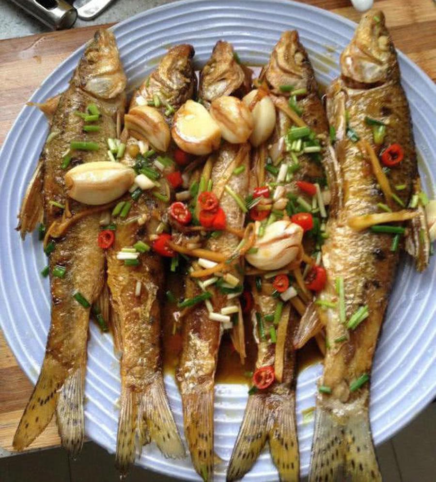 虫虫鱼多少钱一斤(钓鱼人很痴迷这种鱼) - 价格百科