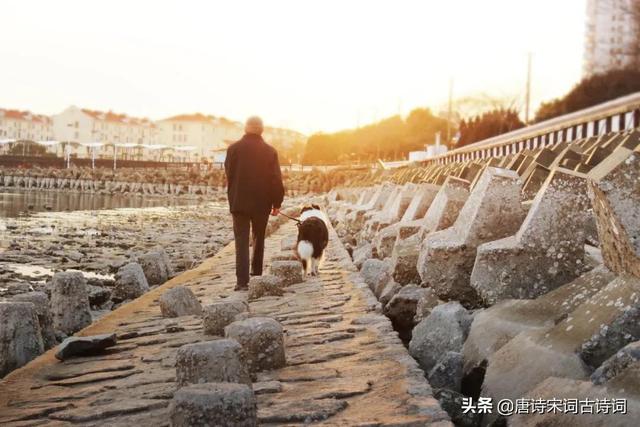 西北望射天狼上一句（柴门闻犬吠）