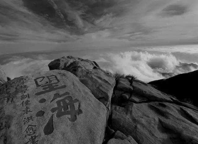 䖝下面一个二是什么成语，无什么成语大全四个字（日本学者百思不解）