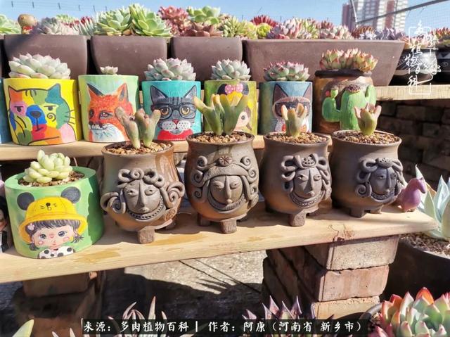 2021九·一八事变是多少周年，2021年是九一八事变的几周年（献给2021最好的春天）