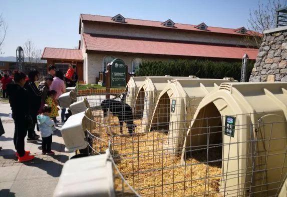 石家庄好玩的好吃的地方，石家庄市好吃好玩的地方（石家庄最值得去的50个地方）