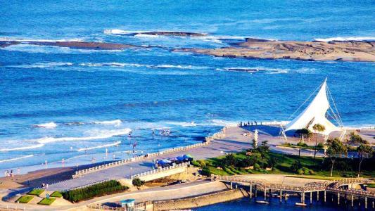 西施舌的详细区分方法，西施舌的来历（珍稀贝品  日照西施舌）