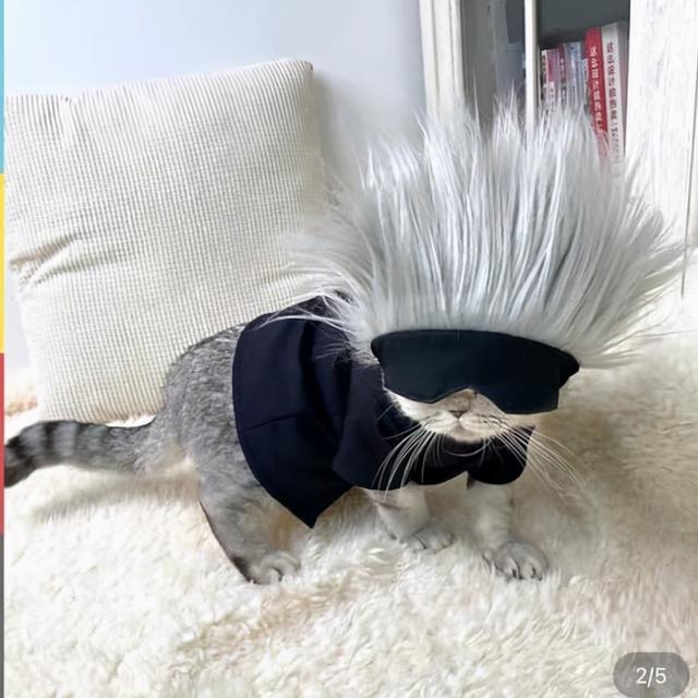 五条悟头像高清帅气，五条悟头像微信（那就找只猫扮成他）