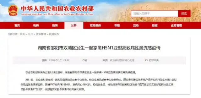 猪突猛进是什么意思，猪突猛进是什么意思日语（自愿宅和强制宅完全是两种感觉）