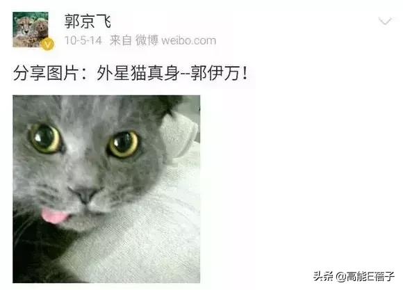 为什么叶璇名声这么差，叶璇这个人怎么样（上戏00级：除了郭京飞）