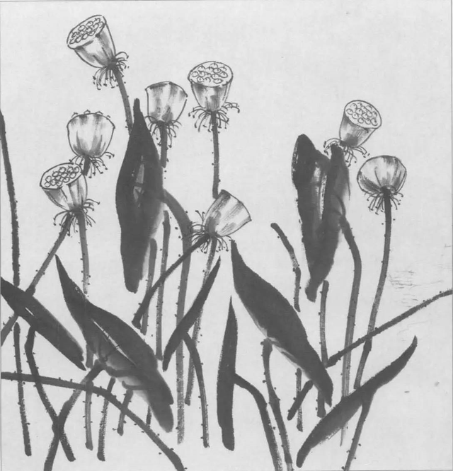水墨画初学者入门教程，水墨画入门教程（图文教程：画水墨荷花）