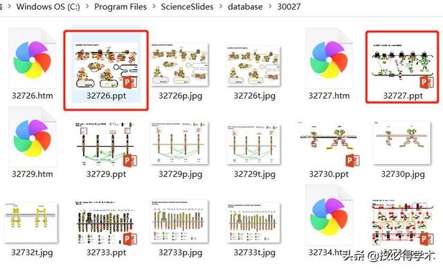 ppt绘图工具在哪里，ppt绘图工具在哪里打开（这款强大的PPT通路图绘制插件来了）