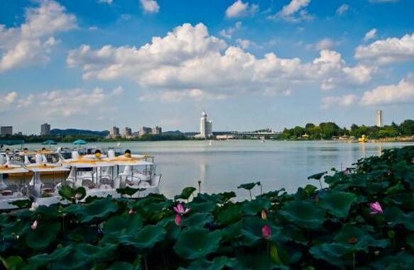 南京旅遊景點排名前十,南京景點排行榜前十名免費(南京十個免費又好玩