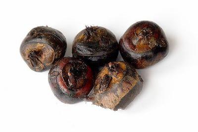 武汉特产有哪些，武汉特产有哪些可以带给朋友（武汉特产有哪些值得带）