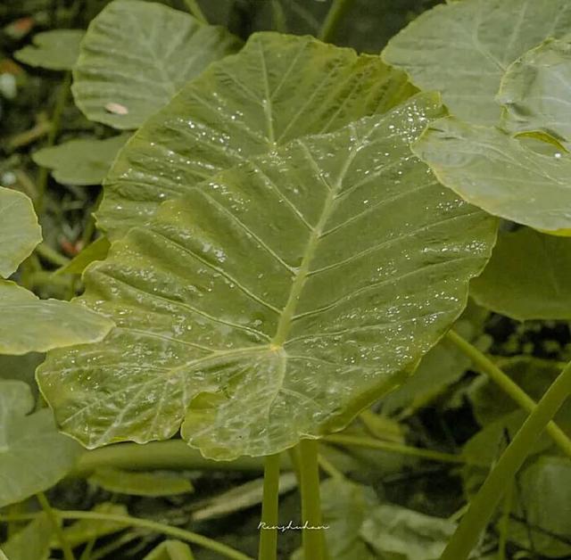 ins背景图，ins背景图简约（惊艳访客的ins风小众背景图）